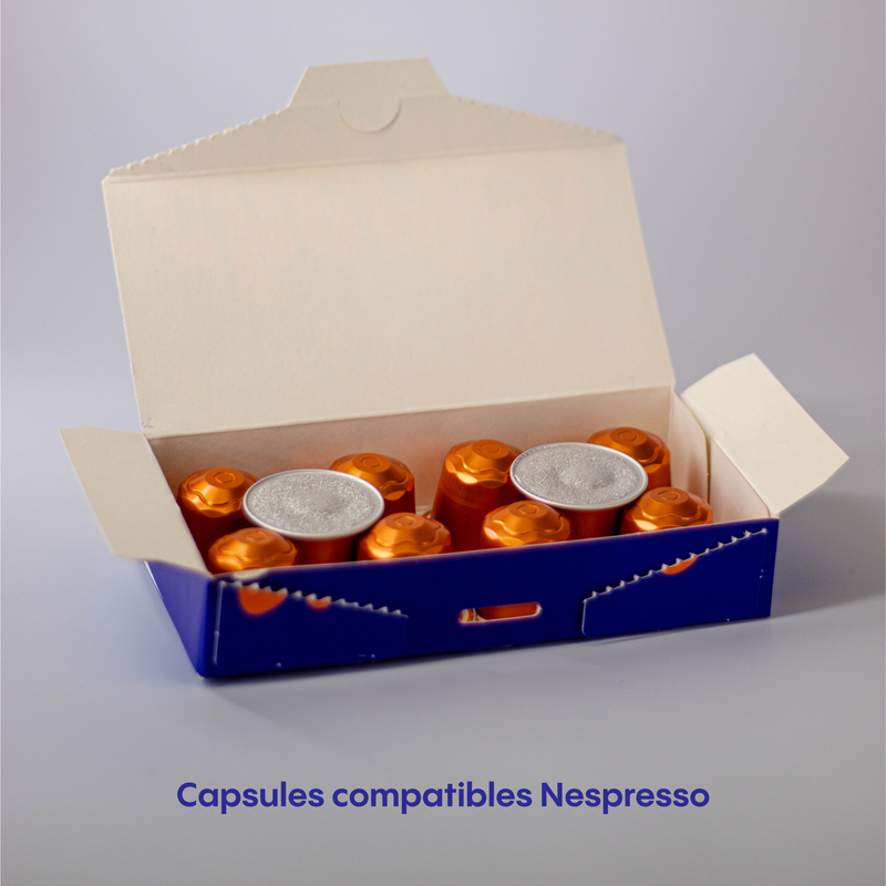 Capsules chicorée nature