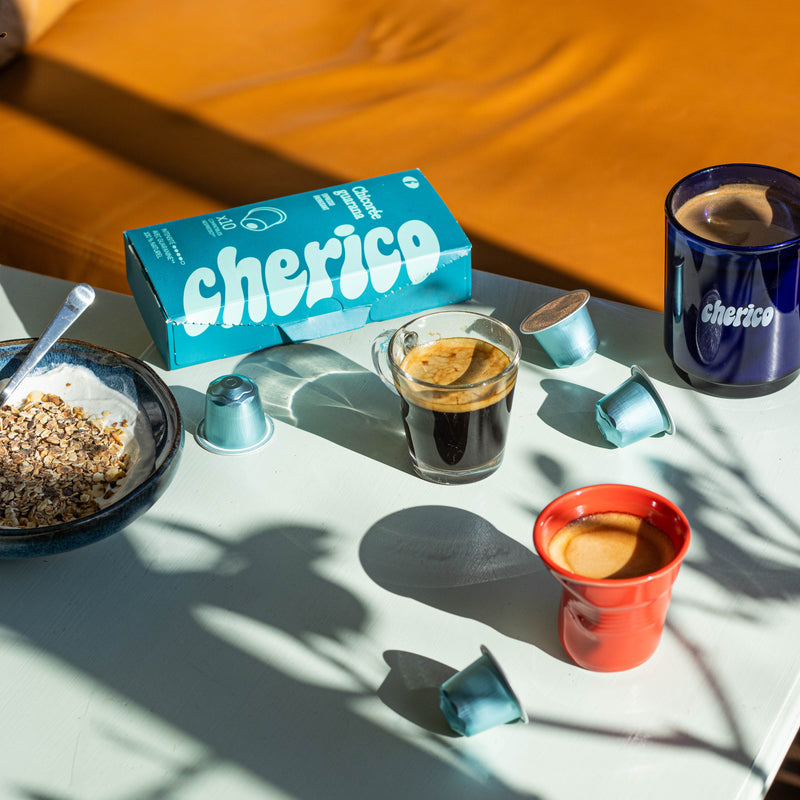 Capsules chicorée & Guarana