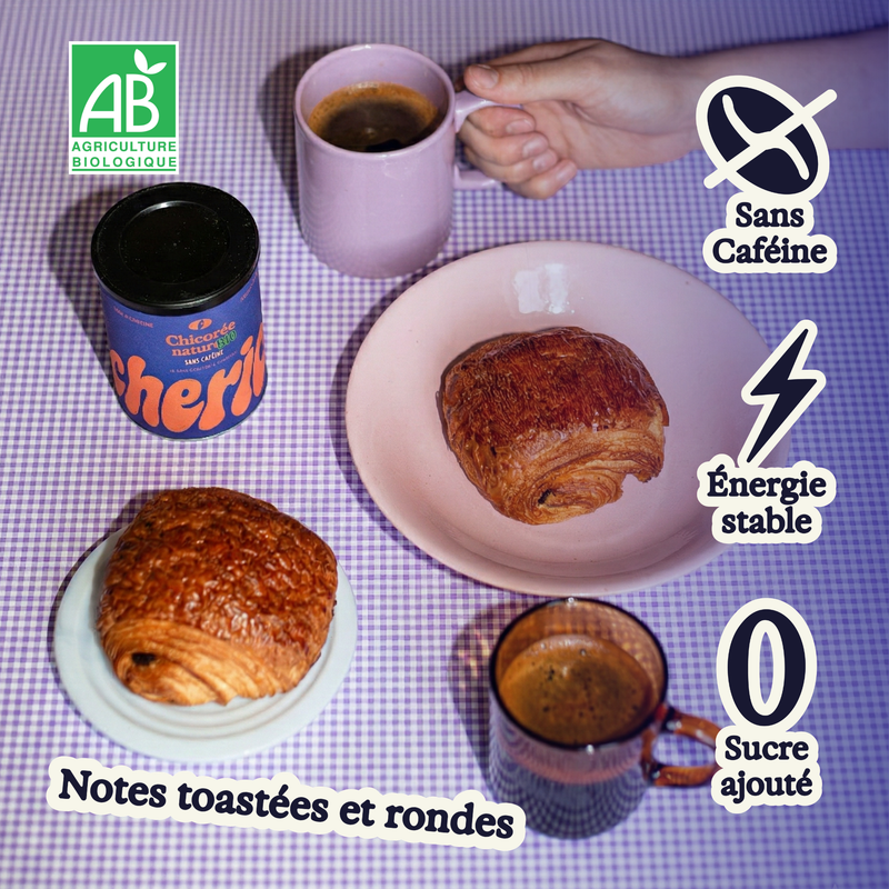 Chicorée nature bio